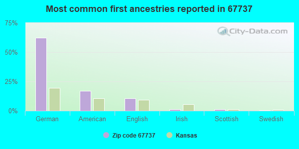 Most common first ancestries reported in 67737