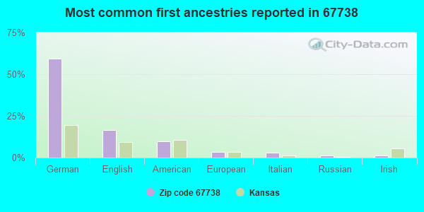 Most common first ancestries reported in 67738