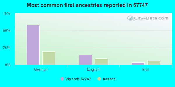 Most common first ancestries reported in 67747