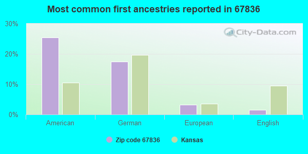 Most common first ancestries reported in 67836