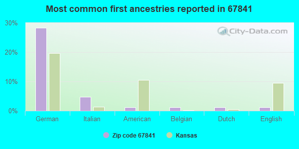 Most common first ancestries reported in 67841