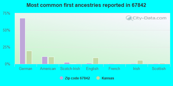 Most common first ancestries reported in 67842