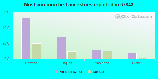 Most common first ancestries reported in 67843