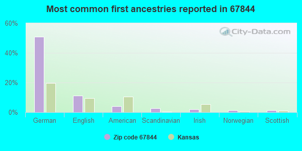 Most common first ancestries reported in 67844