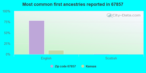 Most common first ancestries reported in 67857