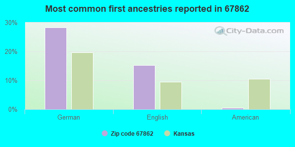 Most common first ancestries reported in 67862