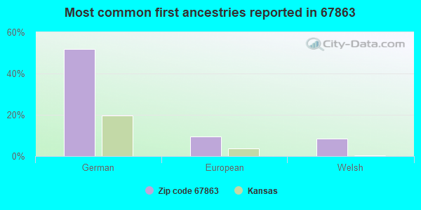 Most common first ancestries reported in 67863
