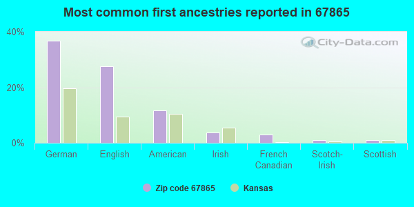 Most common first ancestries reported in 67865