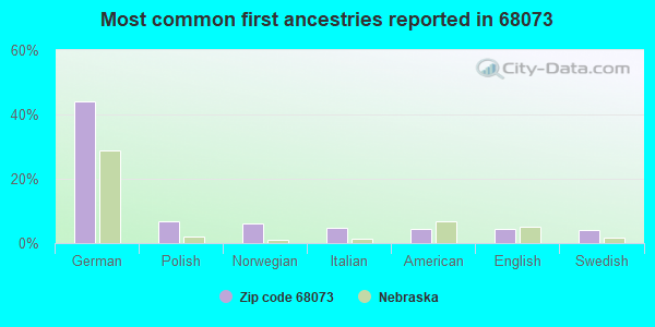 Most common first ancestries reported in 68073