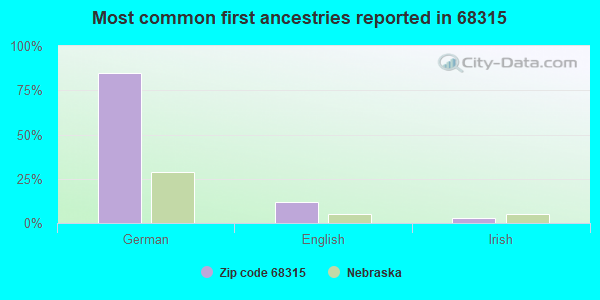 Most common first ancestries reported in 68315