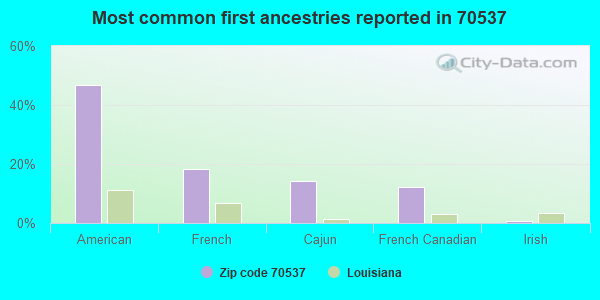 Most common first ancestries reported in 70537