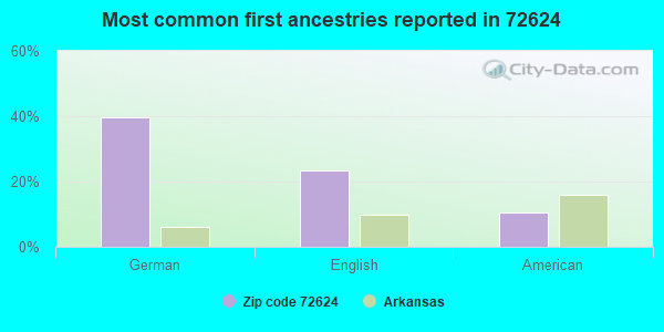 Most common first ancestries reported in 72624
