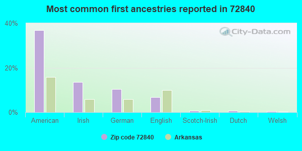 Most common first ancestries reported in 72840