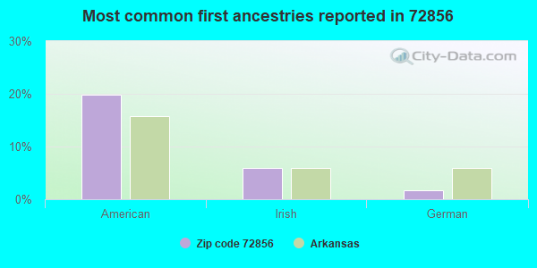 Most common first ancestries reported in 72856