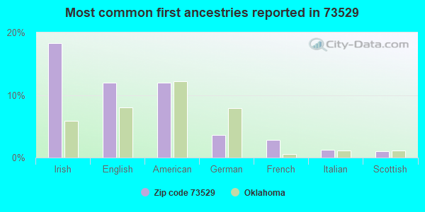 Most common first ancestries reported in 73529