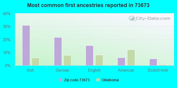 Most common first ancestries reported in 73673
