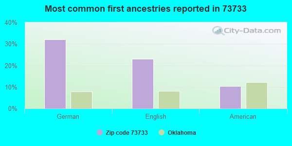 Most common first ancestries reported in 73733