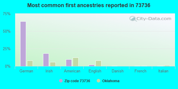 Most common first ancestries reported in 73736