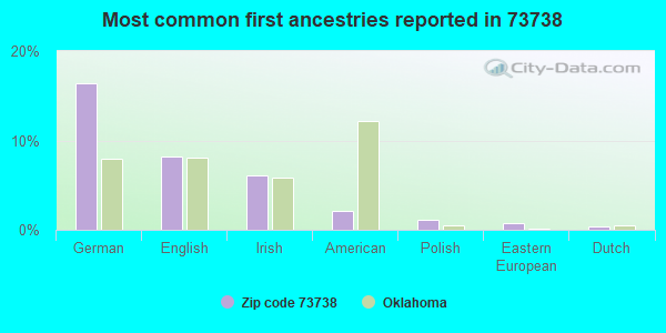 Most common first ancestries reported in 73738