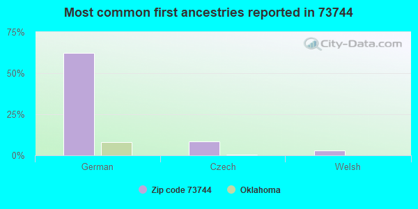 Most common first ancestries reported in 73744