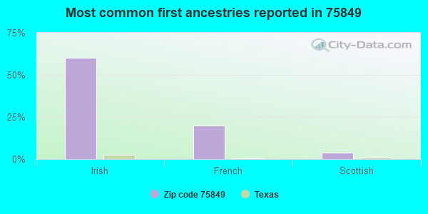 Most common first ancestries reported in 75849