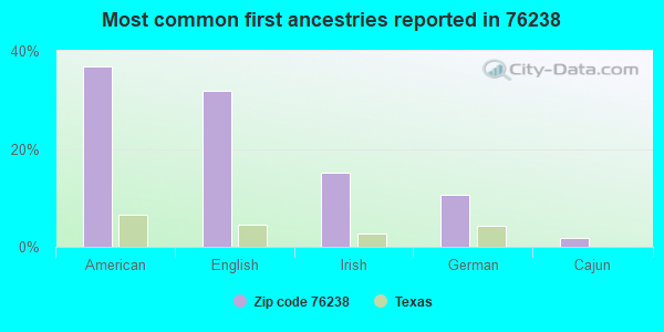 Most common first ancestries reported in 76238