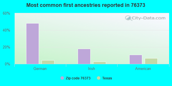 Most common first ancestries reported in 76373