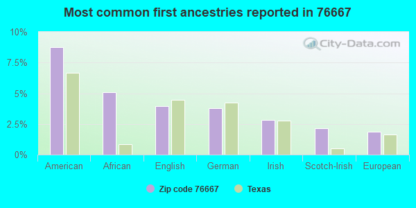 Most common first ancestries reported in 76667