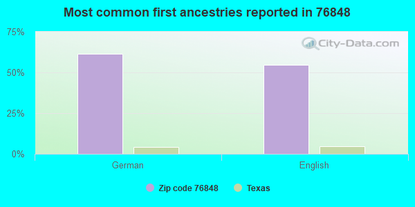 Most common first ancestries reported in 76848