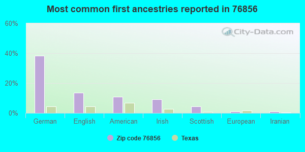 Most common first ancestries reported in 76856