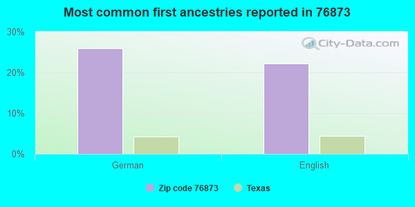 Most common first ancestries reported in 76873