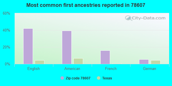 Most common first ancestries reported in 78607