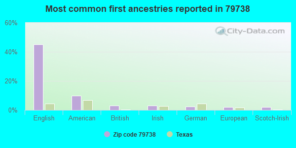 Most common first ancestries reported in 79738