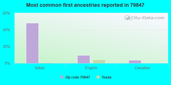 Most common first ancestries reported in 79847