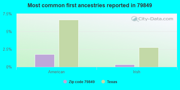 Most common first ancestries reported in 79849