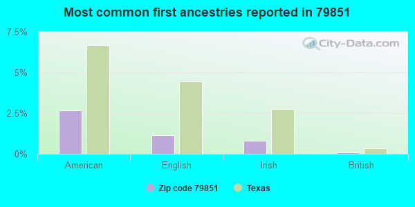 Most common first ancestries reported in 79851