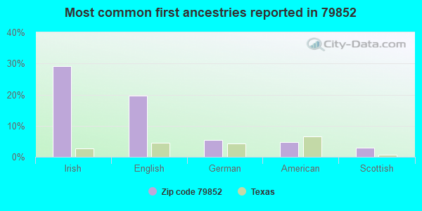 Most common first ancestries reported in 79852