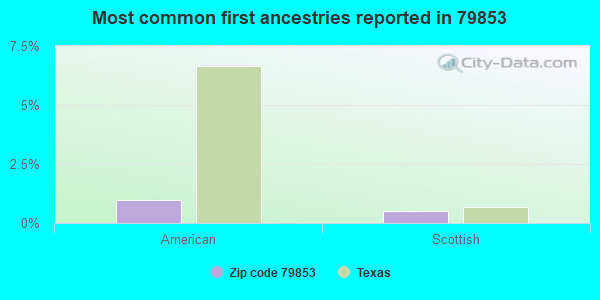 Most common first ancestries reported in 79853