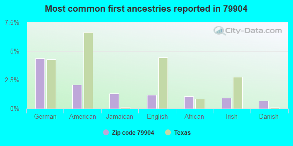 Most common first ancestries reported in 79904