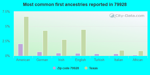 Most common first ancestries reported in 79928