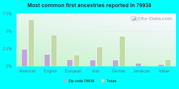 Most common first ancestries reported in 79938