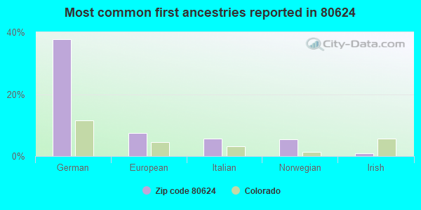 Most common first ancestries reported in 80624