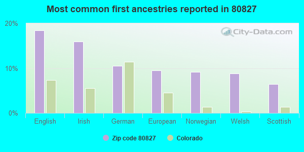 Most common first ancestries reported in 80827