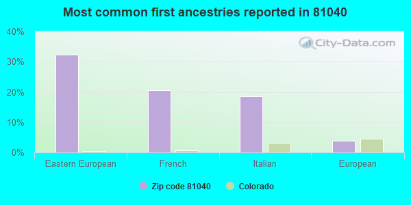 Most common first ancestries reported in 81040