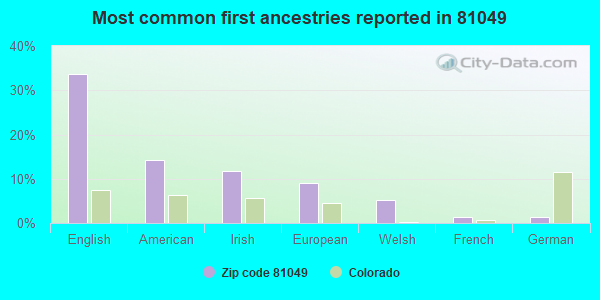 Most common first ancestries reported in 81049