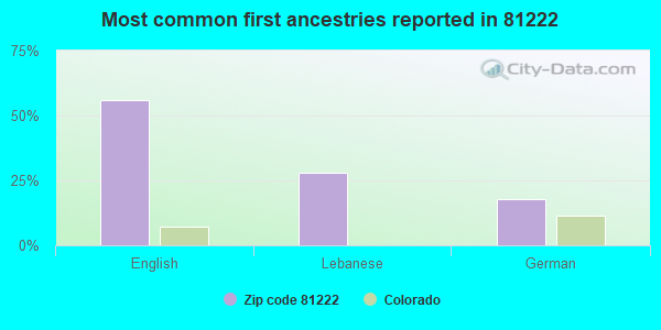Most common first ancestries reported in 81222