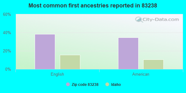 Most common first ancestries reported in 83238