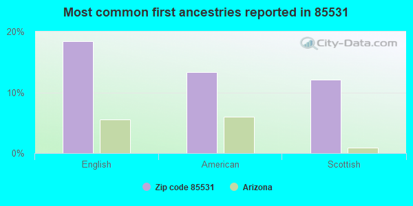 Most common first ancestries reported in 85531