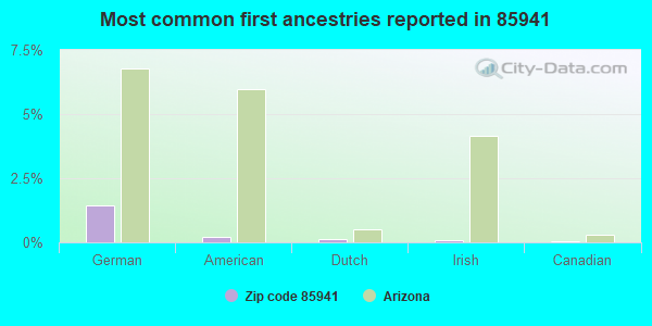 Most common first ancestries reported in 85941