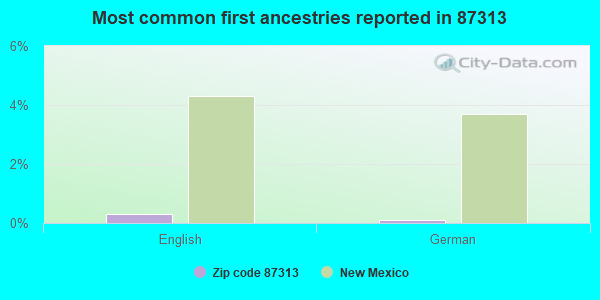 Most common first ancestries reported in 87313
